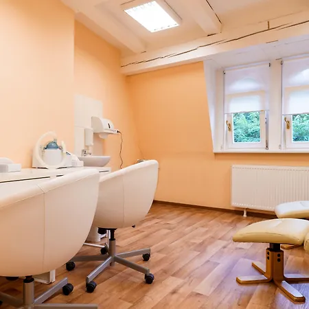 Anglicky Dvur 4* Карловы Вары